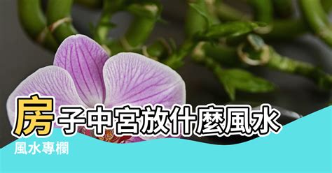 房屋中宮擺設|【風水中的中宮】房子中宮放什麼風水 